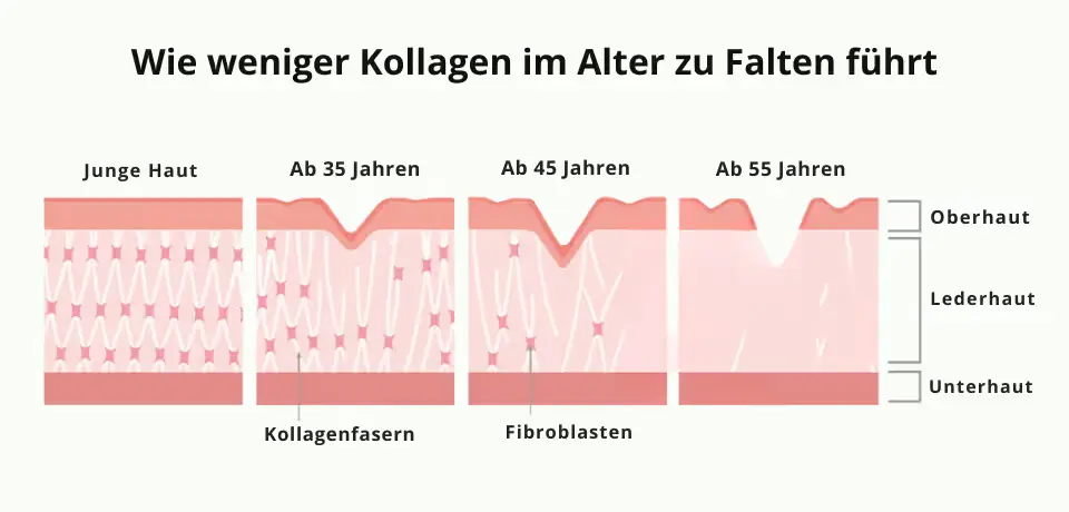 Kollagenpulver Vergleich